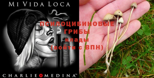 героин Осинники
